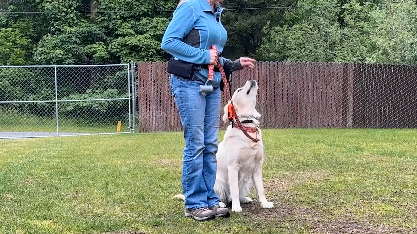 Dog handler stands with a white dog during a training seminar on a grassy field, demonstrating focus and obedience skills.