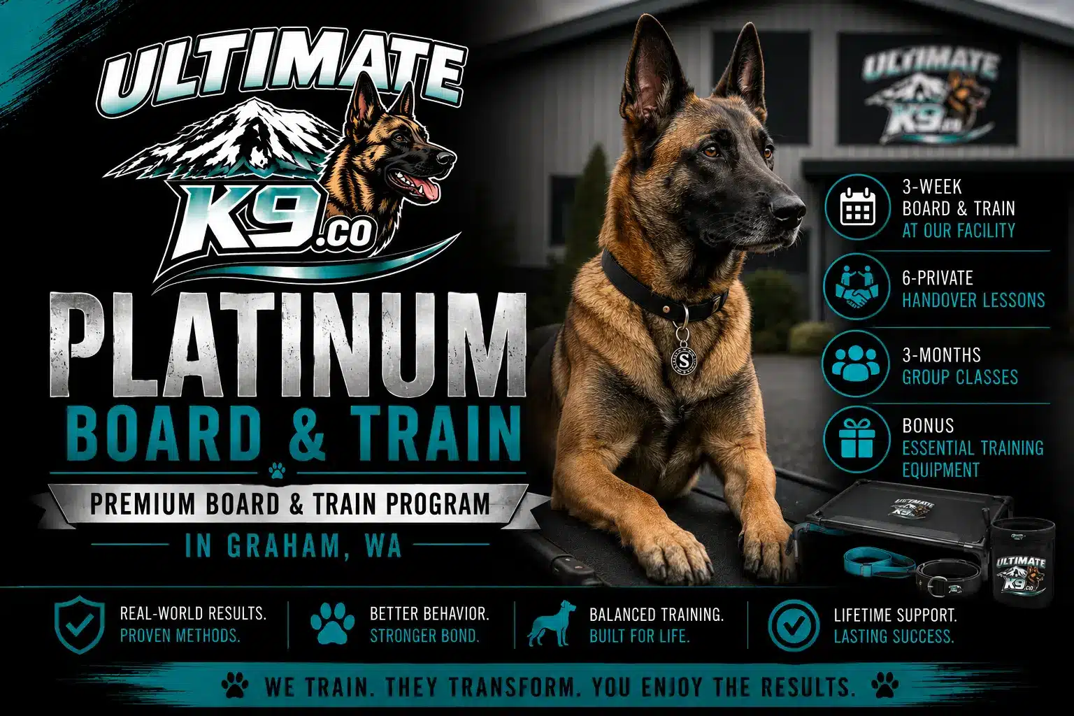 Platinum Board and Train Dog Program – Elite Training