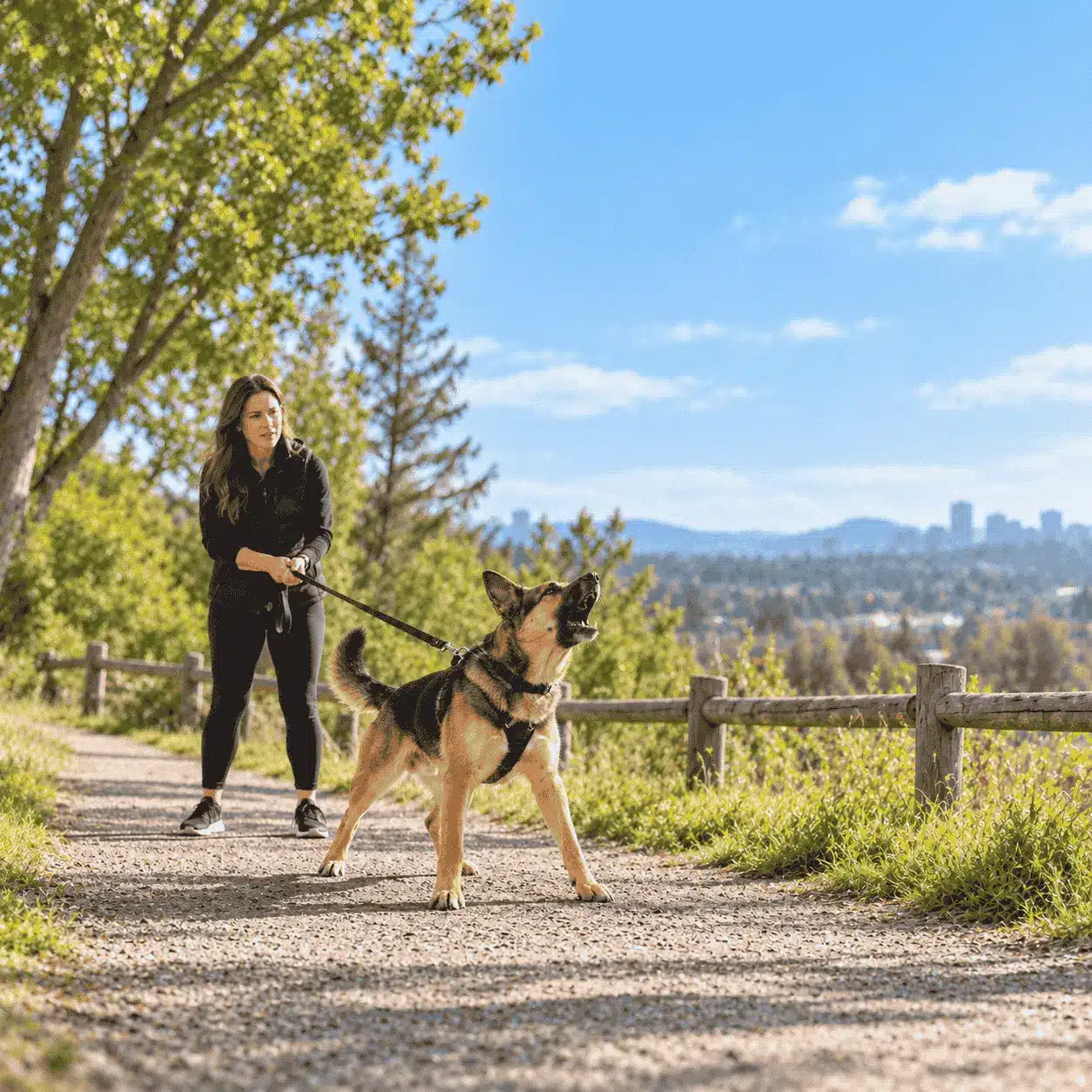 Dog barking on a leash while a woman stands behind on a scenic outdoor trail. dogs bark